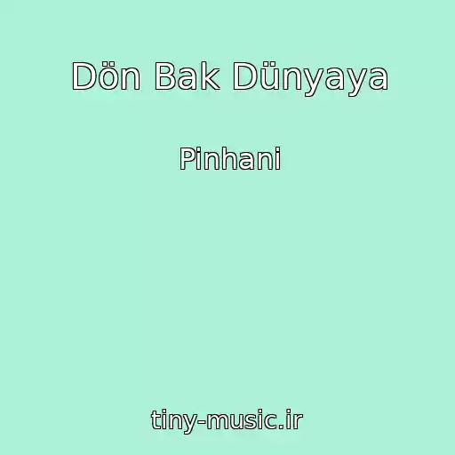 کاور آهنگ Dön Bak Dünyaya از Pinhani