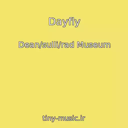 کاور آهنگ Dayfly از Dean/sulli/rad Museum