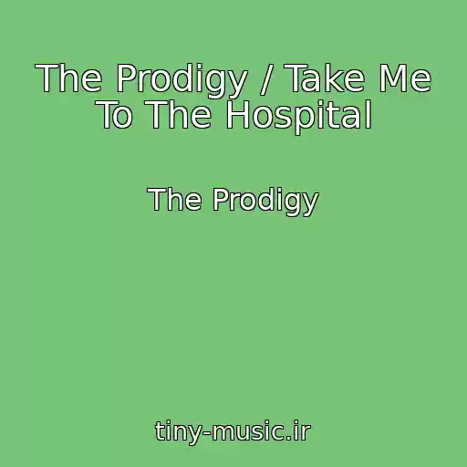 کاور آهنگ The Prodigy / Take Me To The Hospital از The Prodigy