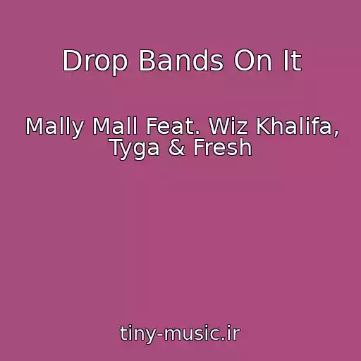 کاور آهنگ Drop Bands On It از Mally Mall Feat. Wiz Khalifa, Tyga & Fresh