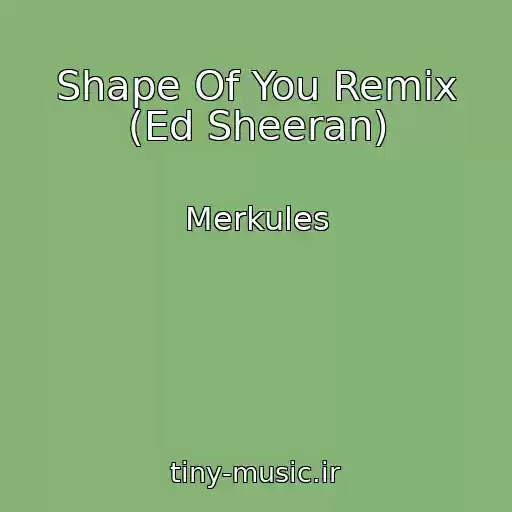 کاور آهنگ Shape Of You Remix (Ed Sheeran) از Merkules