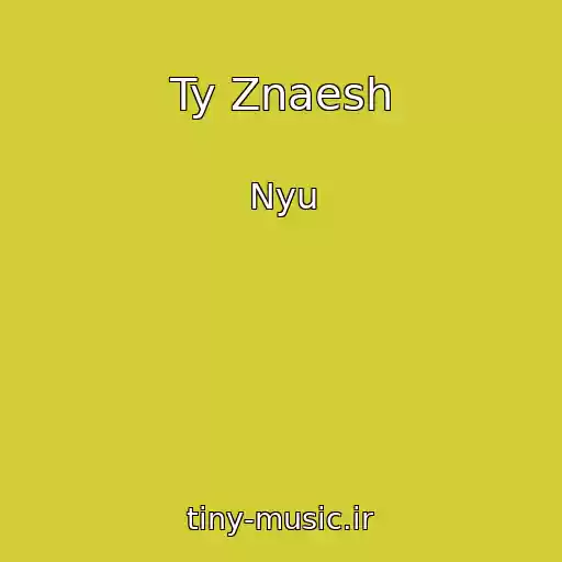 کاور آهنگ Ty Znaesh از Nyu