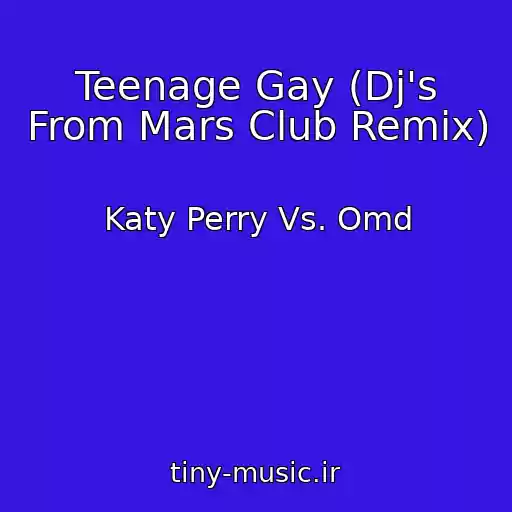 کاور آهنگ Teenage Gay (Dj's From Mars Club Remix) از Katy Perry Vs. Omd