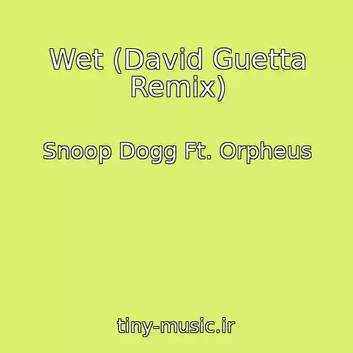 کاور آهنگ Wet (David Guetta Remix) از Snoop Dogg Ft. Orpheus