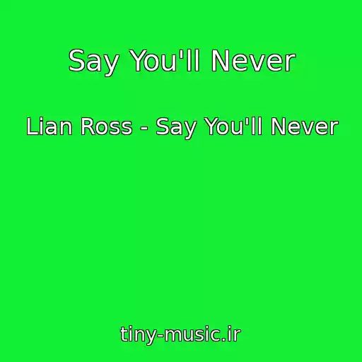 کاور آهنگ Say You'll Never از Lian Ross - Say You'll Never