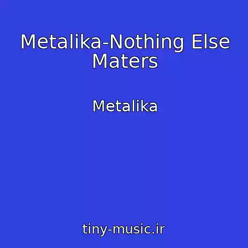 کاور آهنگ Metalika-Nothing Else Maters از Metalika