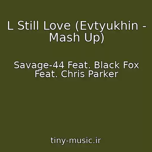 کاور آهنگ L Still Love (Evtyukhin - Mash Up) از Savage-44 Feat. Black Fox Feat. Chris Parker