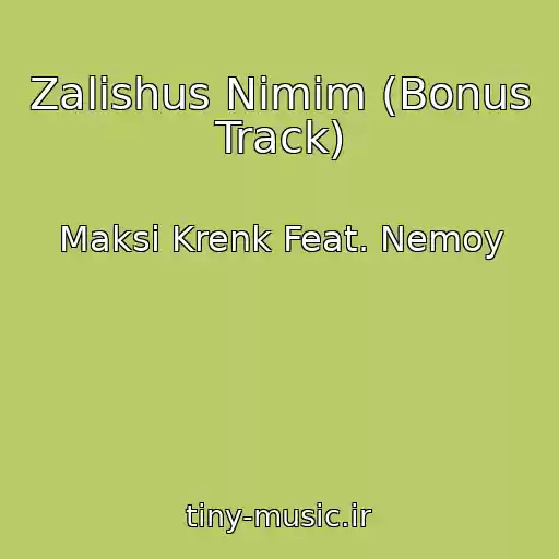 کاور آهنگ Zalishus Nіmim (Bonus Track) از Maksі Krenk Feat. Nemoy