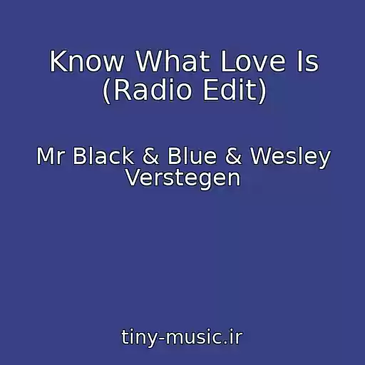 کاور آهنگ Know What Love Is (Radio Edit) از Mr Black & Blue & Wesley Verstegen