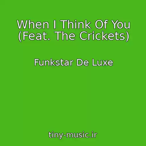 کاور آهنگ When I Think Of You (Feat. The Crickets) از Funkstar De Luxe