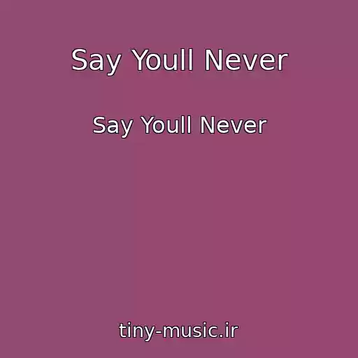کاور آهنگ Say Youll Never از Say Youll Never