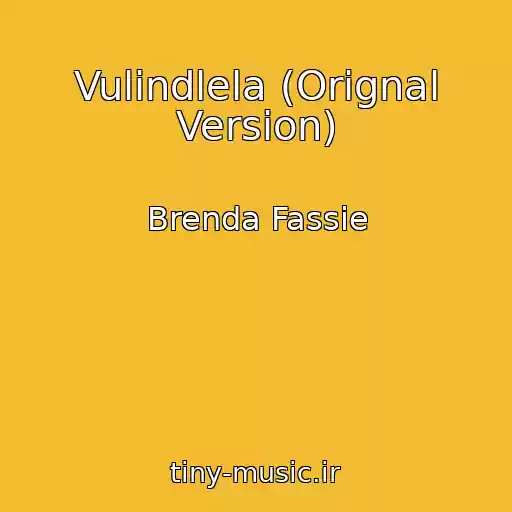 کاور آهنگ Vulindlela (Orignal Version) از Brenda Fassie