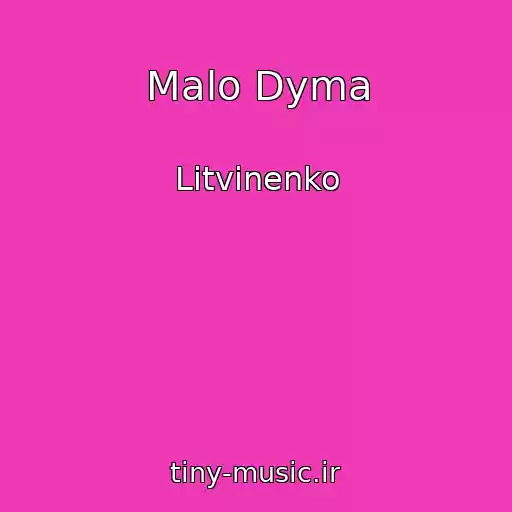 کاور آهنگ Malo Dyma از Litvinenko