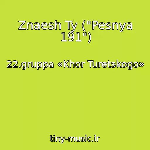 کاور آهنگ Znaesh Ty ("Pesnya 191") از 22.gruppa «Khor Turetskogo»
