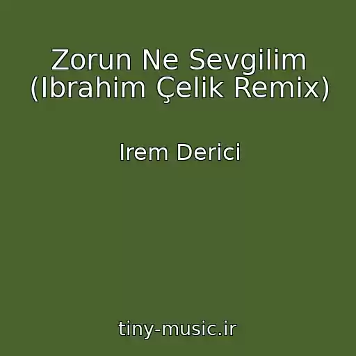 کاور آهنگ Zorun Ne Sevgilim (Ibrahim Çelik Remix) از Irem Derici