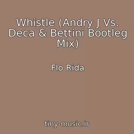 کاور آهنگ Whistle (Andry J Vs. Deca & Bettini Bootleg Mix) از Flo Rida
