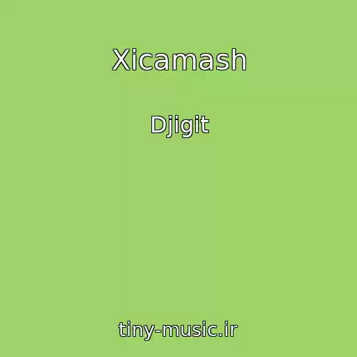 کاور آهنگ Xicamash از Djigit