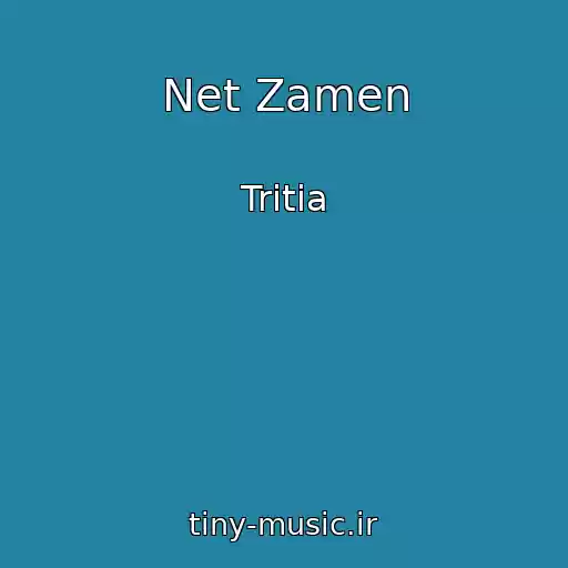 کاور آهنگ Net Zamen از Tritia