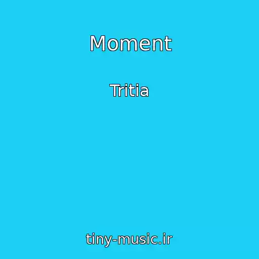 کاور آهنگ Moment از Tritia