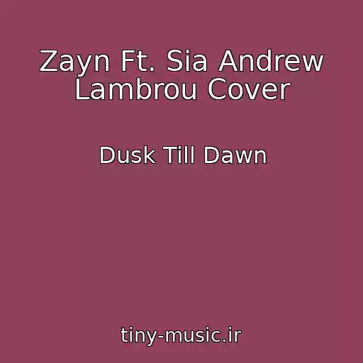 کاور آهنگ Zayn Ft. Sia Andrew Lambrou Cover از Dusk Till Dawn