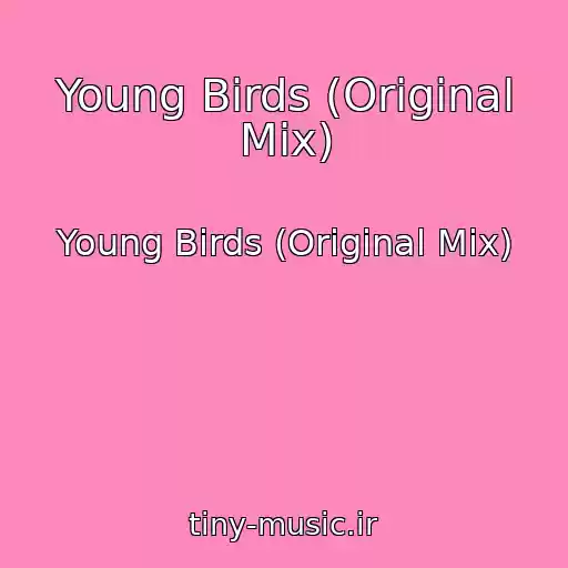 کاور آهنگ Young Birds (Original Mix) از Young Birds (Original Mix)