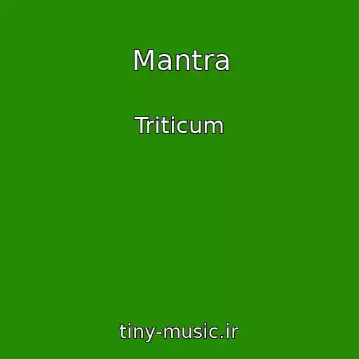 کاور آهنگ Mantra از Triticum