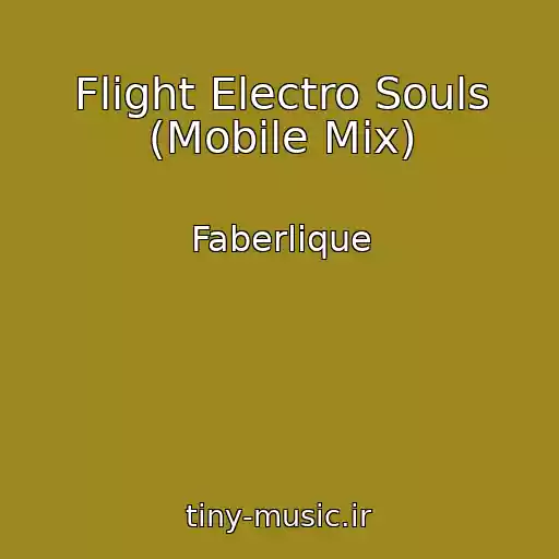 کاور آهنگ Flight Electro Souls (Mobile Mix) از Faberlique