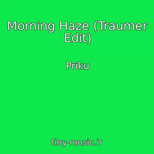 کاور آهنگ Morning Haze (Traumer Edit) از Priku