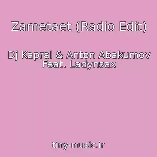 کاور آهنگ Zametaet (Radio Edit) از Dj Kapral & Anton Abakumov Feat. Ladynsax