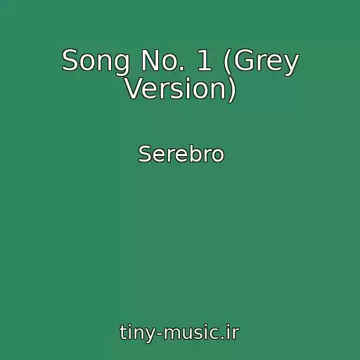 کاور آهنگ Song No. 1 (Grey Version) از Serebro