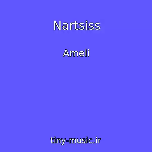 کاور آهنگ Nartsiss از Ameli