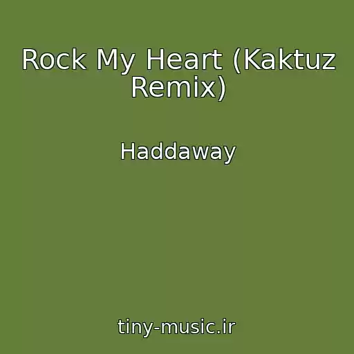 کاور آهنگ Rock My Heart (Kaktuz Remix) از Haddaway