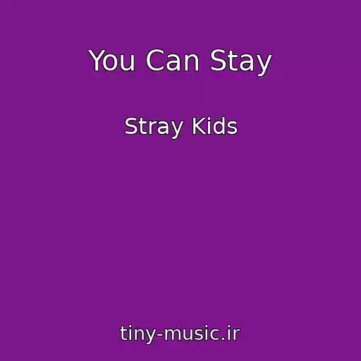 کاور آهنگ You Can Stay از Stray Kids