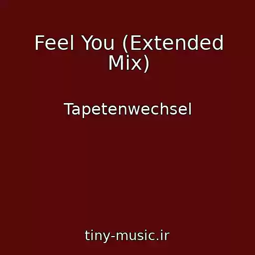 کاور آهنگ Feel You (Extended Mix) از Tapetenwechsel
