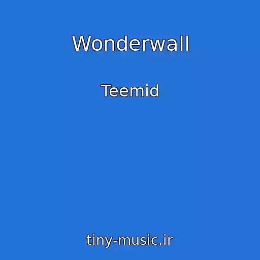 کاور آهنگ Wonderwall از Teemid