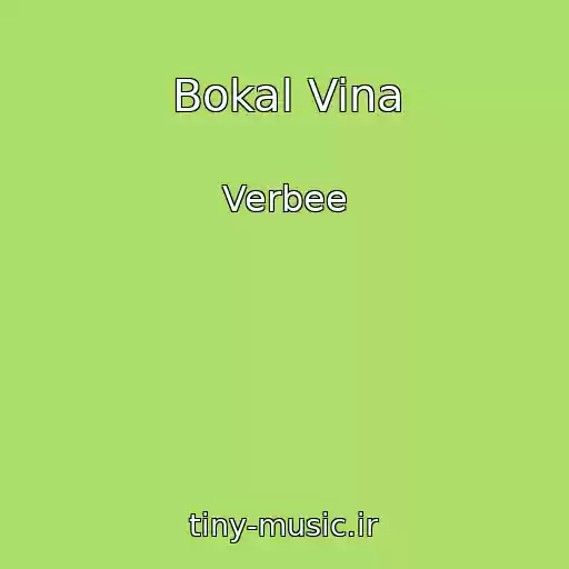 کاور آهنگ Bokal Vina از Verbee