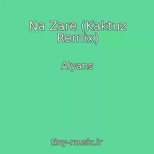 کاور آهنگ Na Zare (Kaktuz Remix) از Alyans