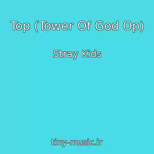 کاور آهنگ Top (Tower Of God Op) از Stray Kids