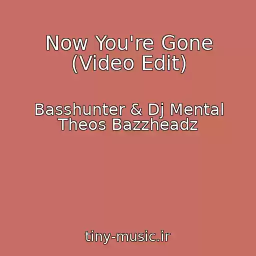 کاور آهنگ Now You're Gone (Video Edit) از Basshunter & Dj Mental Theos Bazzheadz