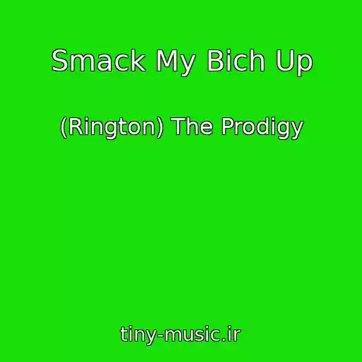 کاور آهنگ Smack My Bich Up از (Rington) The Prodigy
