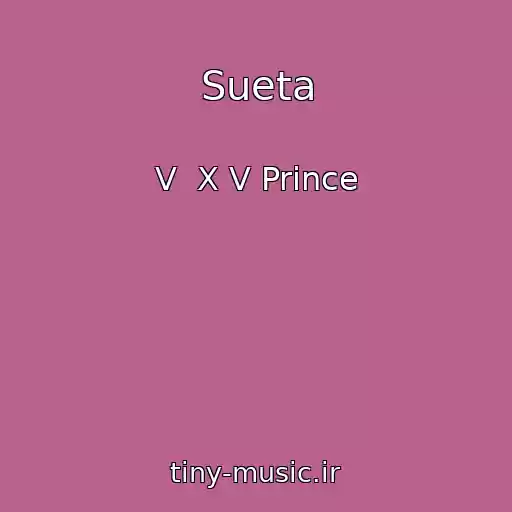 کاور آهنگ Sueta از V  X V Prince