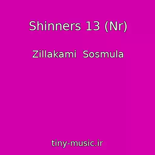 کاور آهنگ Shinners 13 (Nr) از Zillakami  Sosmula