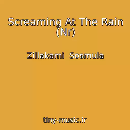 کاور آهنگ Screaming At The Rain (Nr) از Zillakami  Sosmula