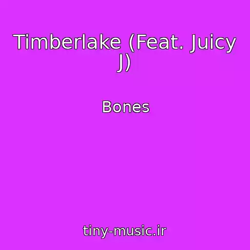 کاور آهنگ Timberlake (Feat. Juicy J) از Bones