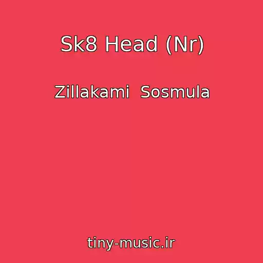 کاور آهنگ Sk8 Head (Nr) از Zillakami  Sosmula