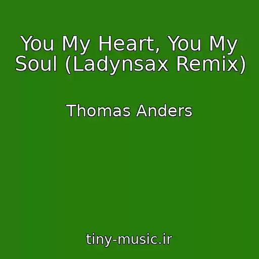 کاور آهنگ You My Heart, You My Soul (Ladynsax Remix) از Thomas Anders