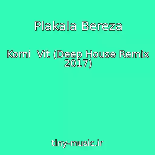 کاور آهنگ Plakala Bereza از Korni  Vit (Deep House Remix 2017)