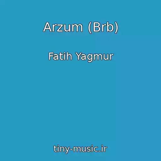 کاور آهنگ Arzum (Brb) از Fatih Yagmur