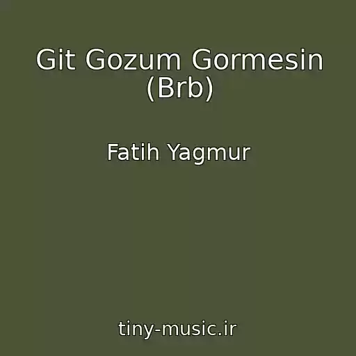 کاور آهنگ Git Gozum Gormesin (Brb) از Fatih Yagmur