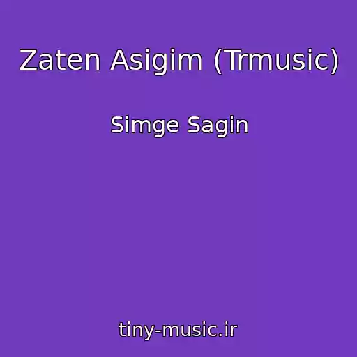 کاور آهنگ Zaten Asigim (Trmusic) از Simge Sagin